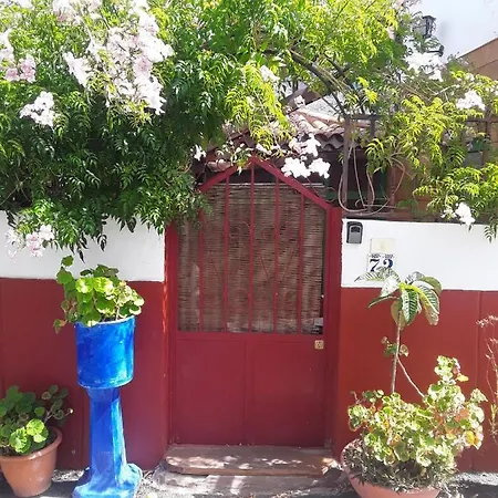 Ecoartejeda Casita Original 度假居
